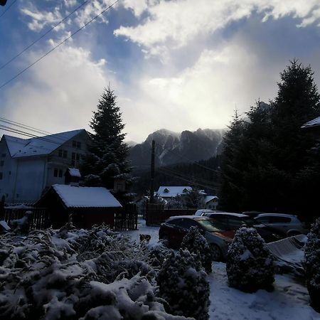 Pensiunea Fara Nume Buşteni Exterior foto