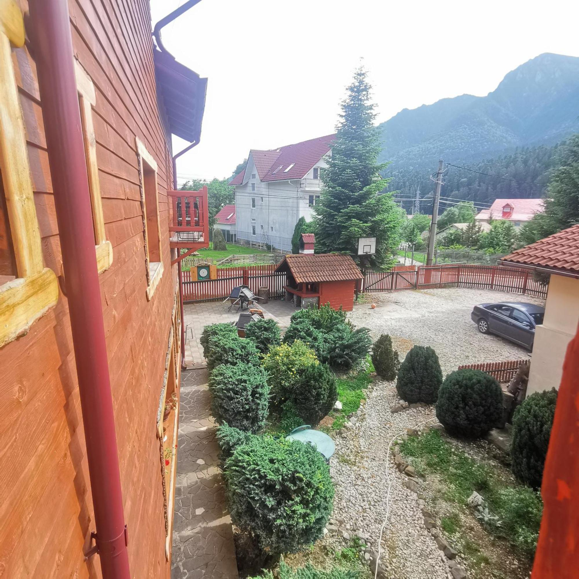 Pensiunea Fara Nume Buşteni Exterior foto